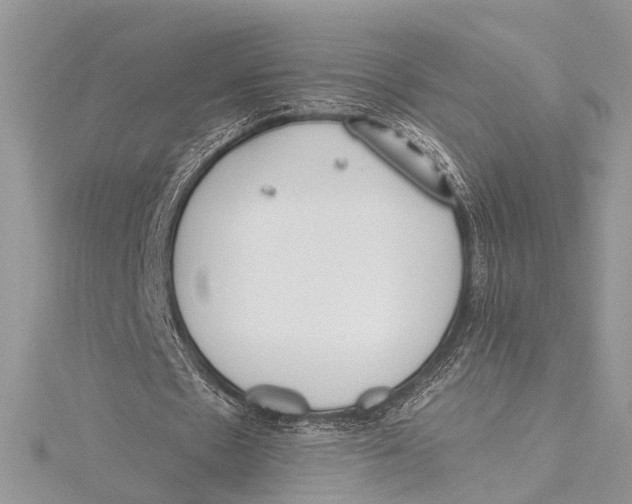 X0000115630481200912011444