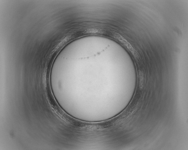 X0000115630482200912011444