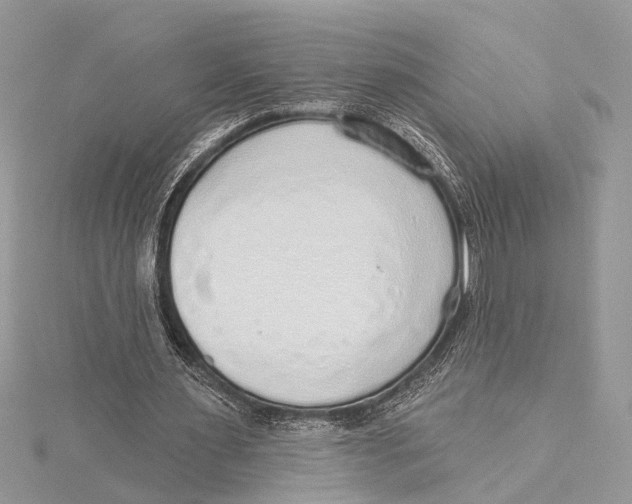 X0000115630483200912011444