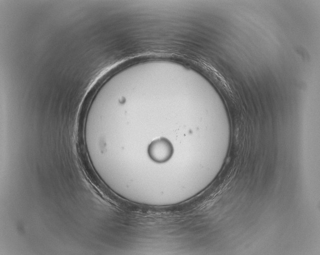 X0000115630484200912011444