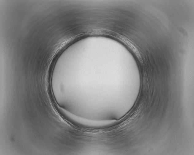 X0000115630485200912011444