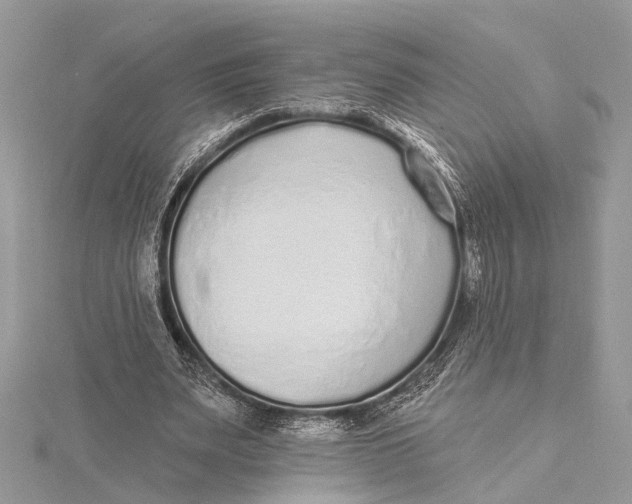 X0000115630487200912011444