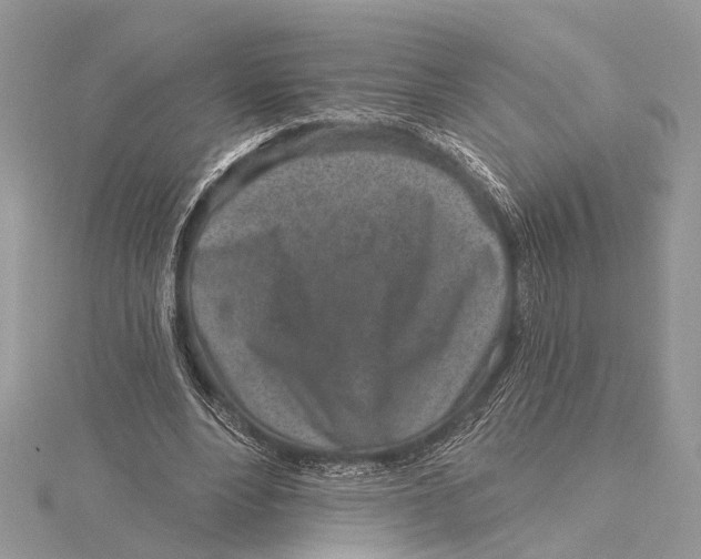 X0000115630488200912011444