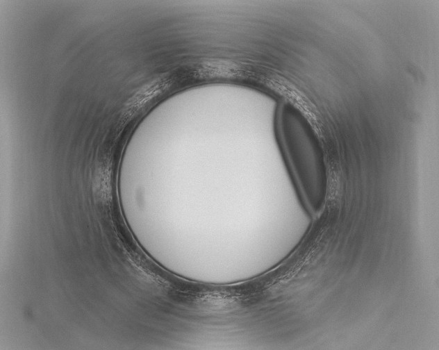 X0000115630489200912011444