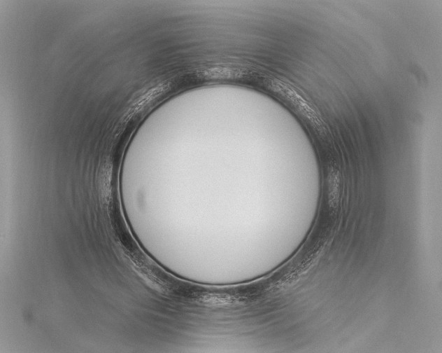 X0000115630490200912011444