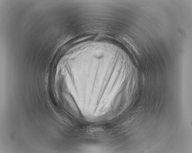 X0000115630491200912011444