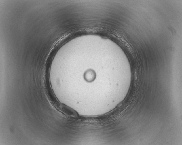 X0000115630492200912011444