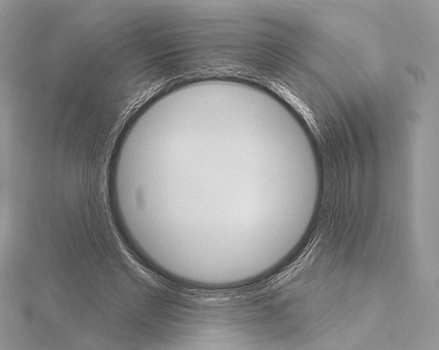 X0000115630493200912011444