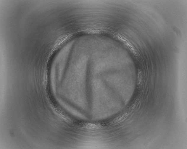 X0000115630494200912011444