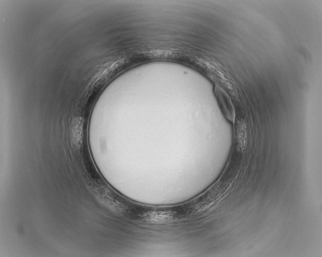 X0000115630495200912011444