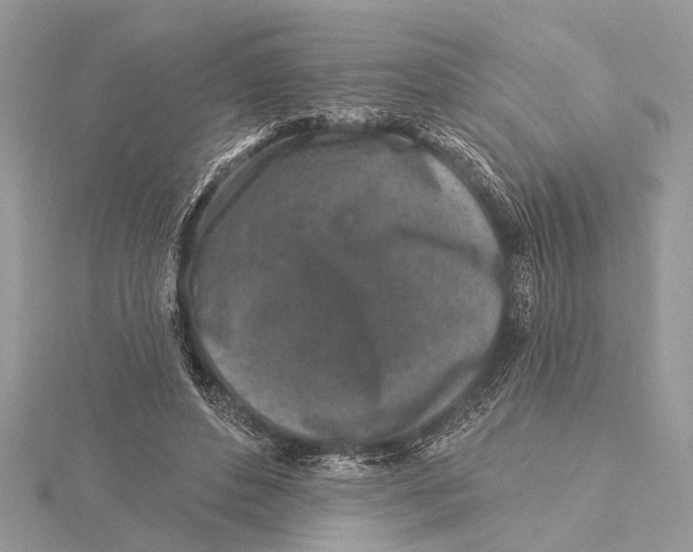 X0000115630496200912011444