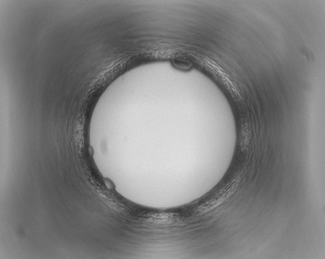 X0000115630497200912011444