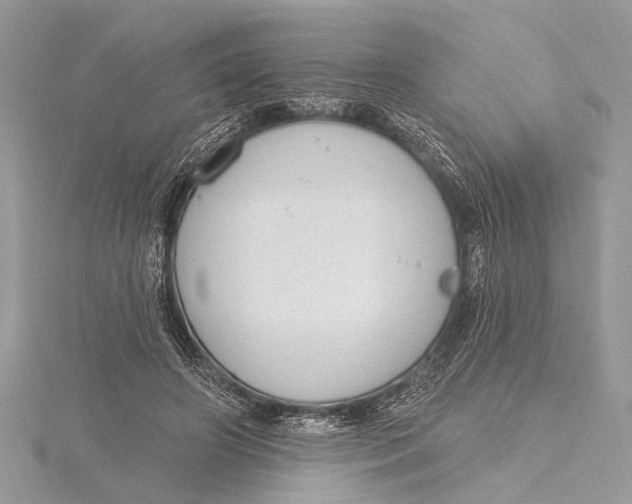 X0000115630498200912011443