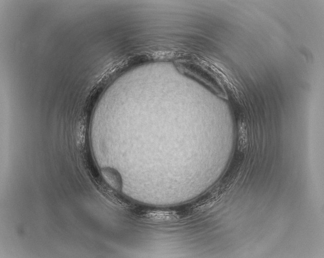 X0000115630499200912011443