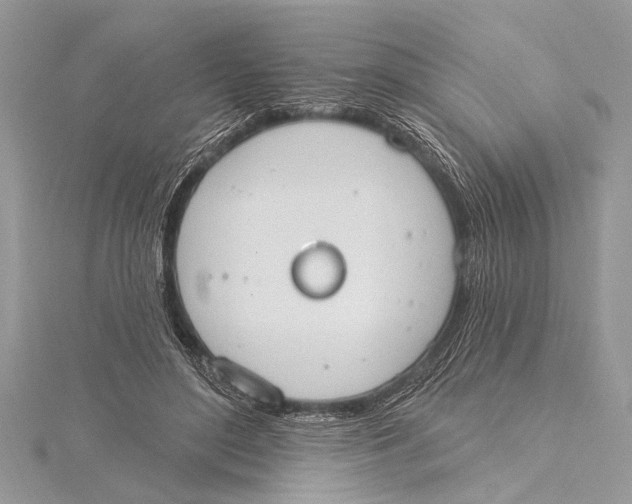 X0000115630500200912011443