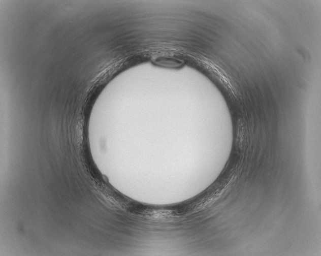 X0000115630501200912011443