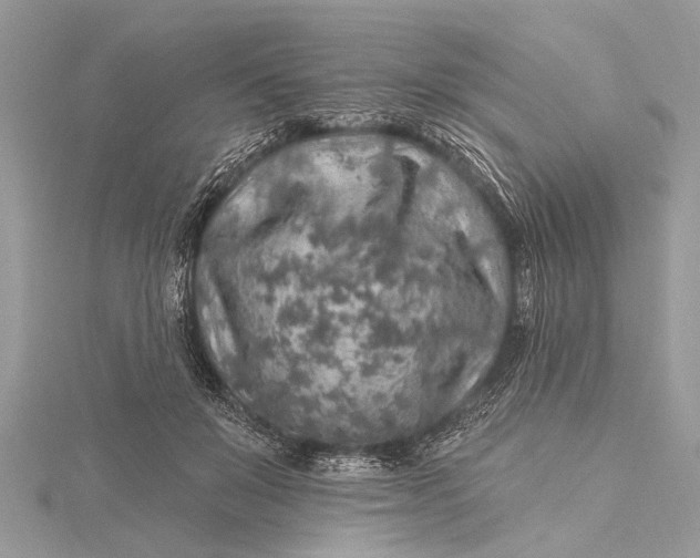 X0000115630503200912011443