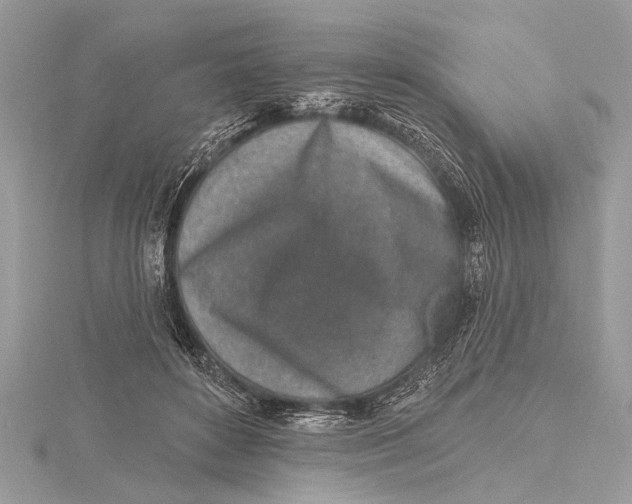 X0000115630504200912011443