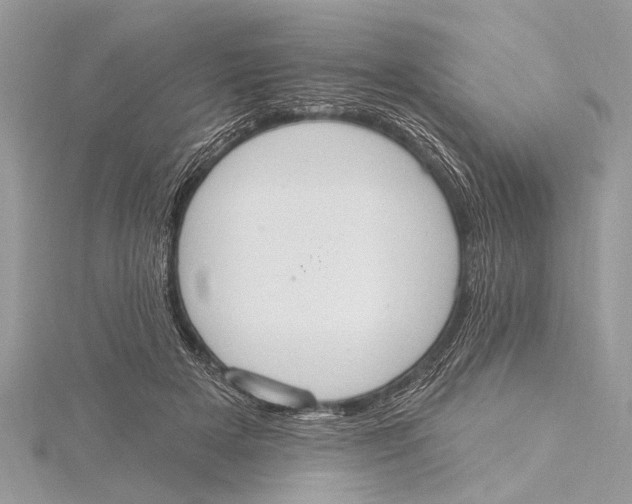 X0000115630505200912011443