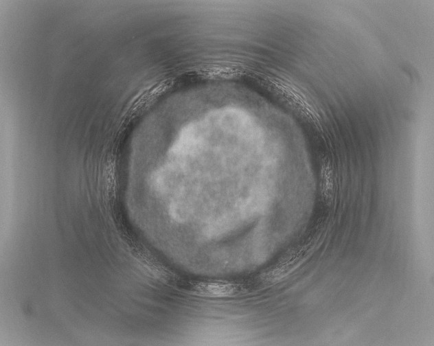 X0000115630506200912011443