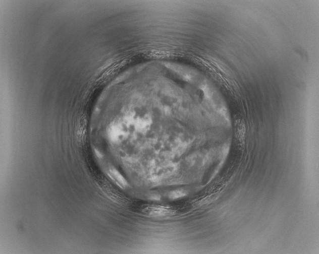 X0000115630507200912011443