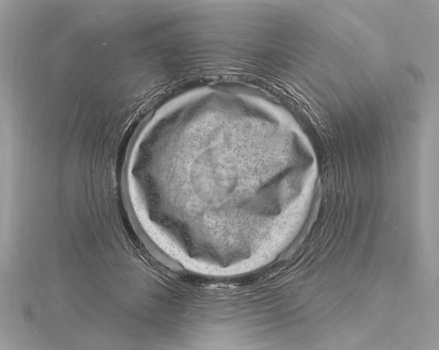 X0000115630508200912011443