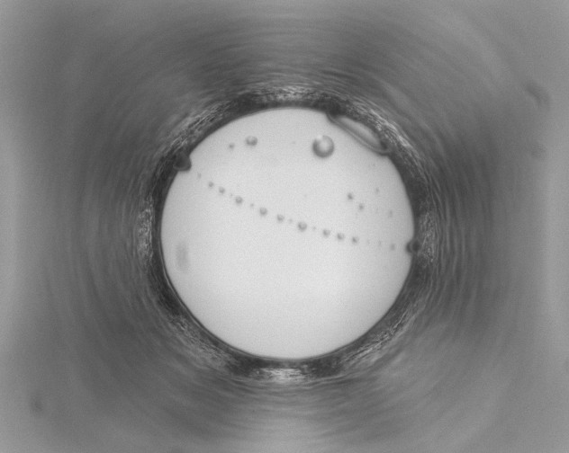 X0000115630509200912011443