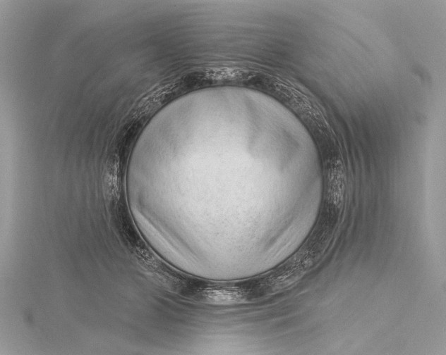 X0000115630510200912011443