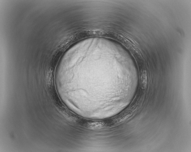 X0000115630511200912011443