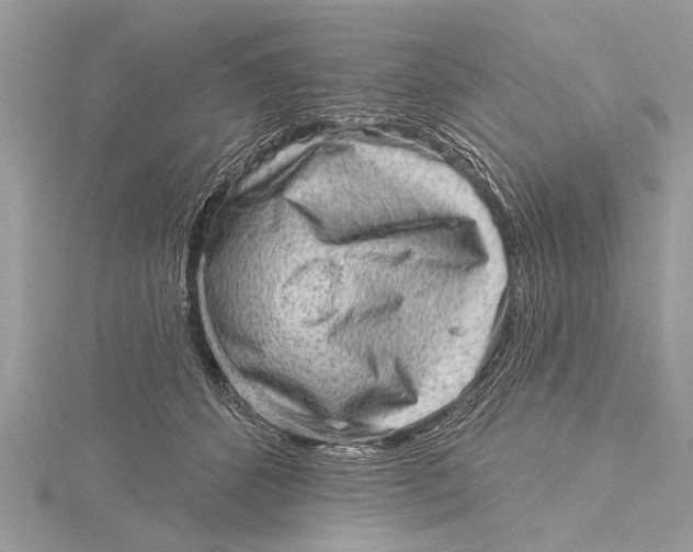 X0000115630512200912011443