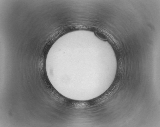 X0000115630513200912011443