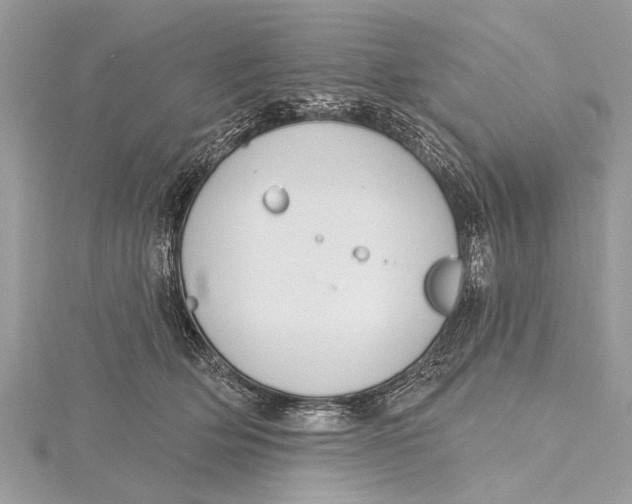 X0000115630514200912011443