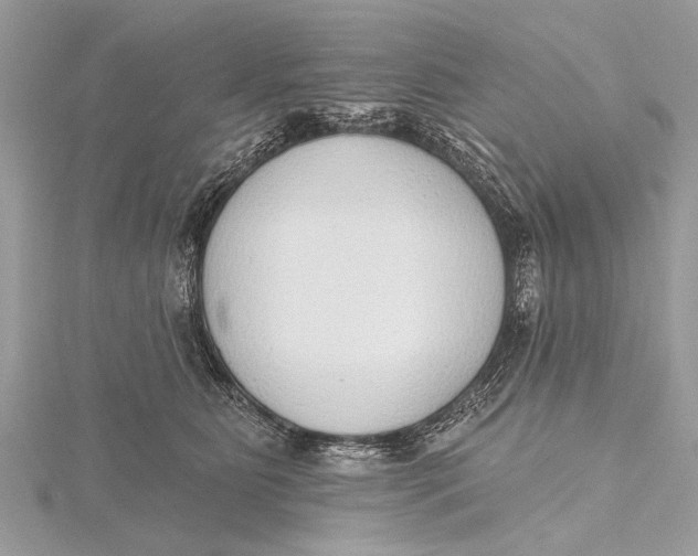 X0000115630515200912011443