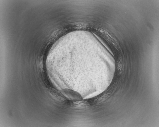 X0000115630516200912011443