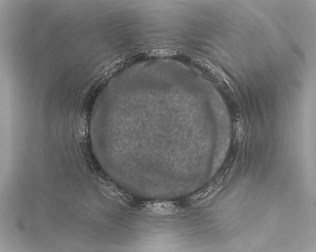 X0000115630517200912011443