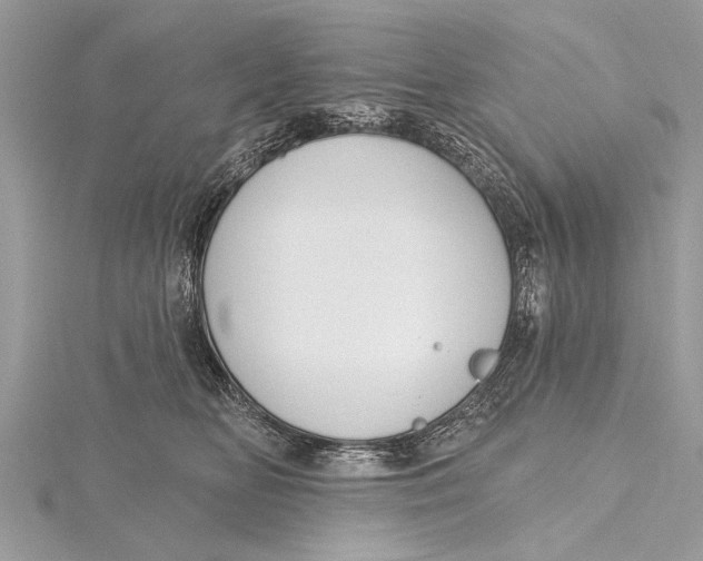 X0000115630518200912011443