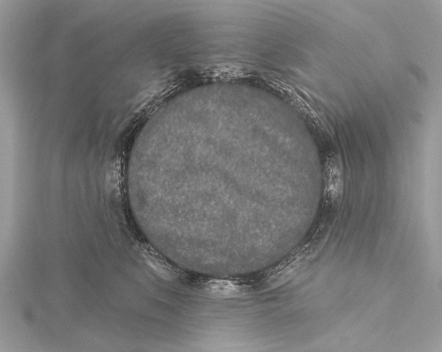 X0000115630519200912011443