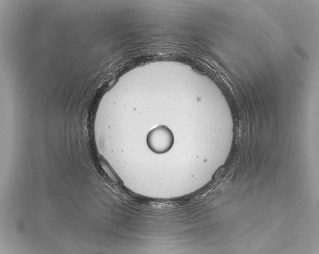 X0000115630520200912011443