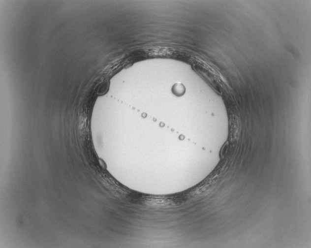 X0000115630521200912011443