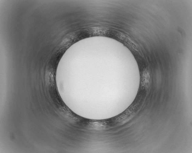 X0000115630522200912011443