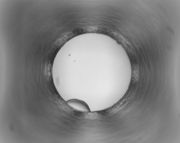 X0000115630525200912011443