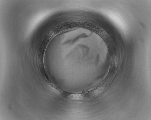 X0000115630526200912011443