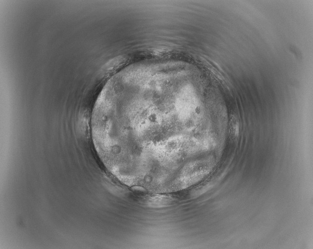 X0000115630527200912011443