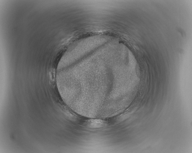 X0000115630528200912011443