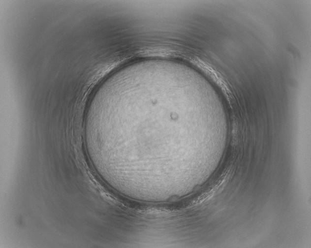 X0000115630529200912011443