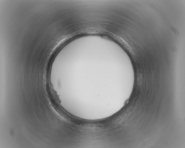 X0000115630530200912011443