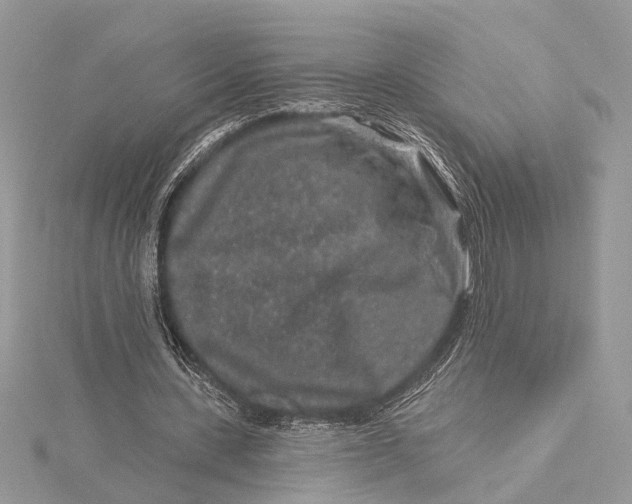 X0000115630531200912011443