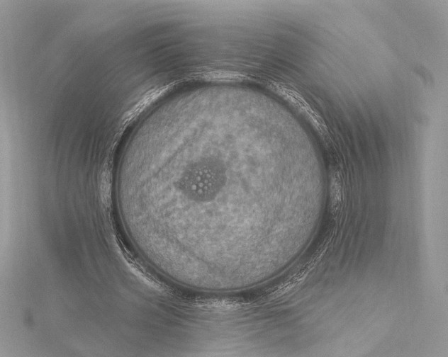 X0000115630533200912011443