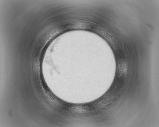 X0000115630534200912011443