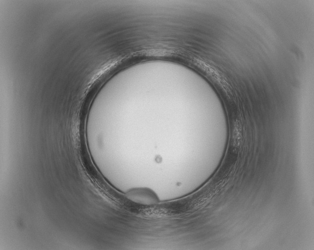 X0000115630535200912011443